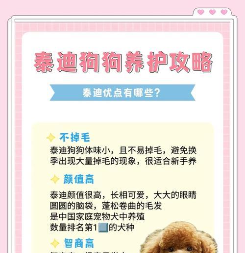 文章详情图片