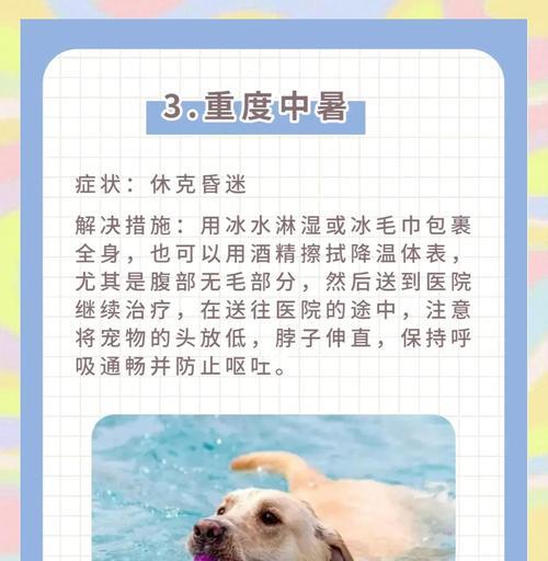 文章详情图片