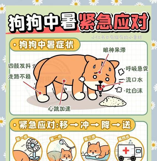 文章详情图片