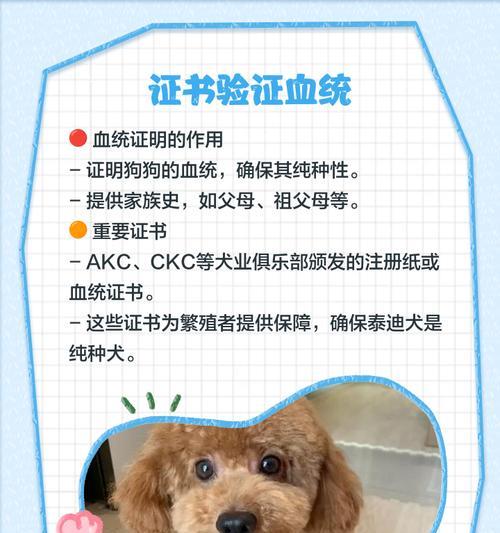 文章详情图片