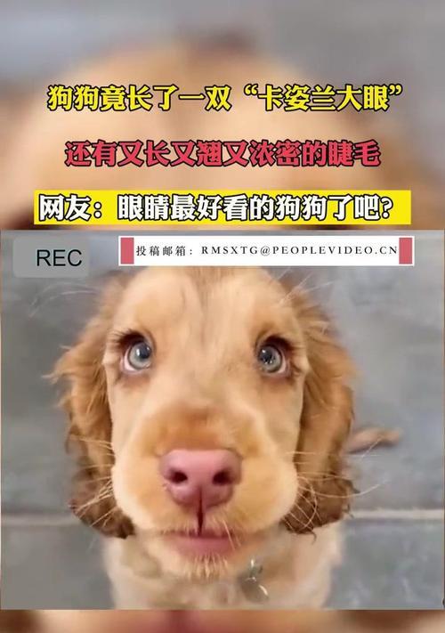 文章详情图片