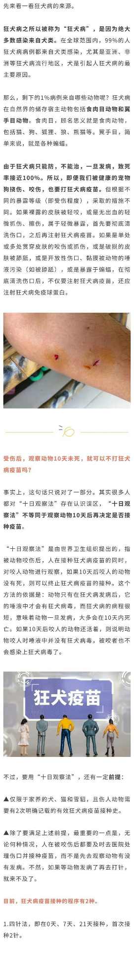 文章详情图片