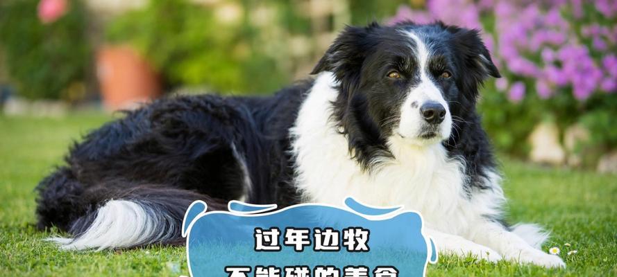 文章详情图片