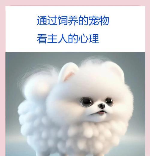 文章详情图片