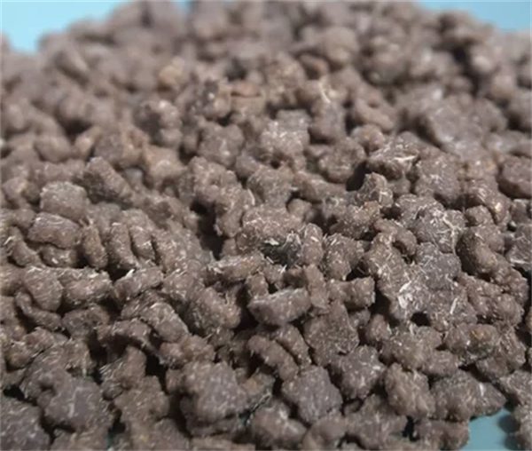 猫博士猫粮好吗