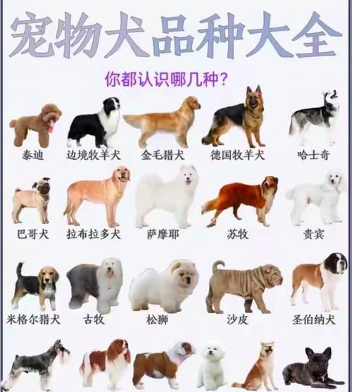 文章详情图片