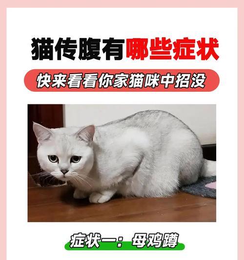 文章详情图片