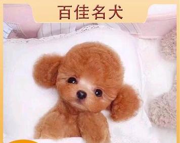 文章详情图片