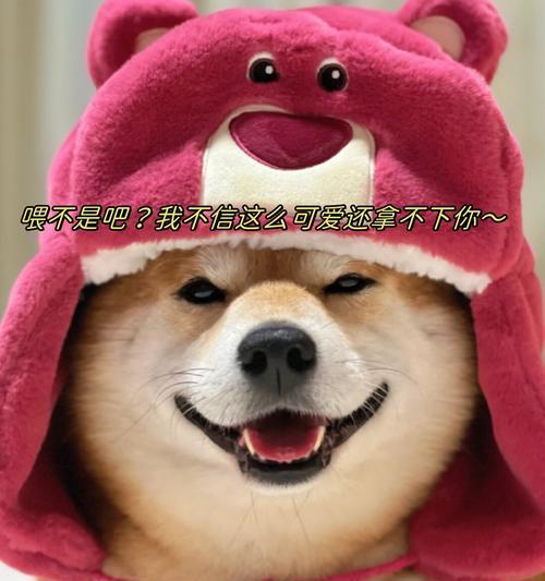 文章详情图片