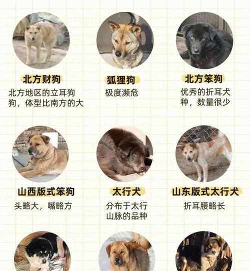 文章详情图片