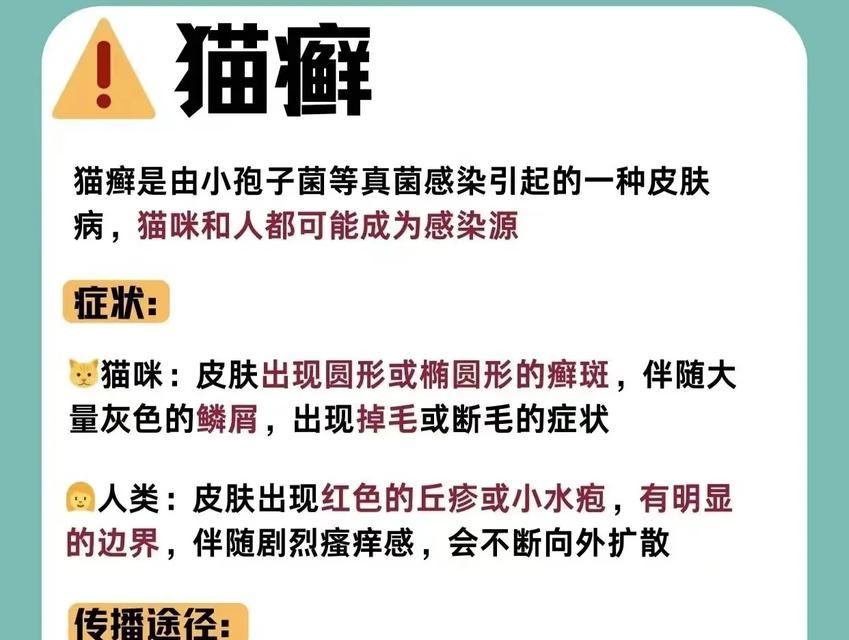 文章详情图片