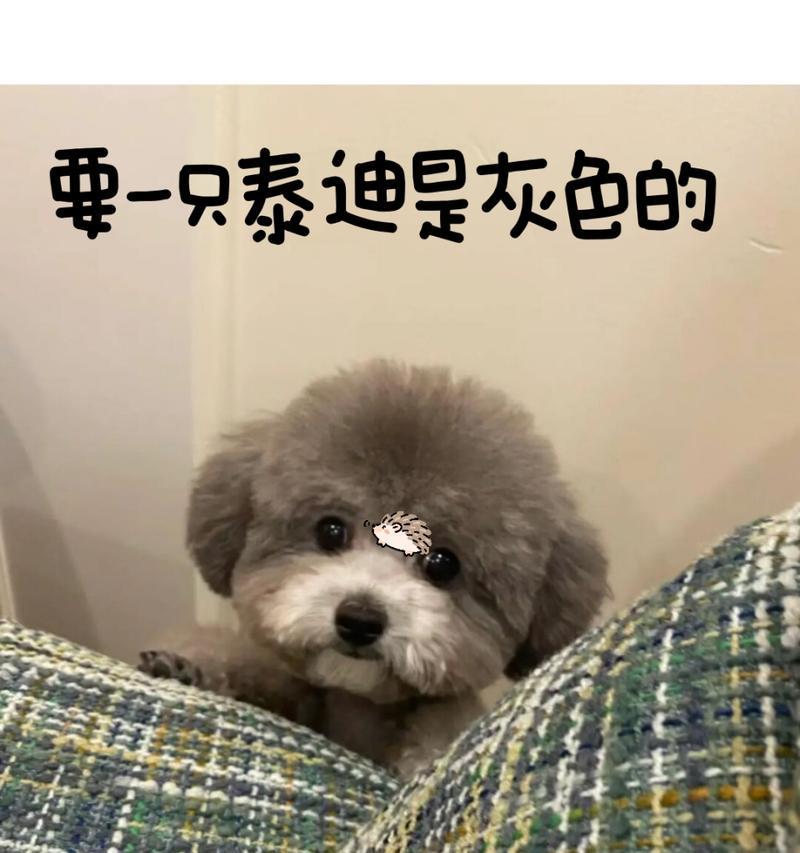 文章详情图片
