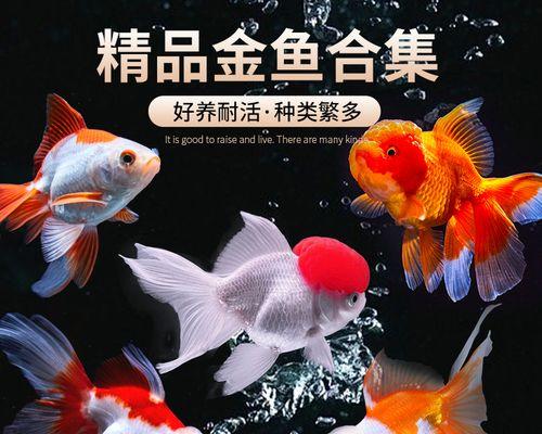 文章详情图片