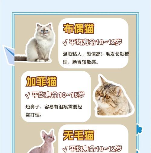 长寿猫的饮食习惯和寿命探究（以吉尼斯记录最长寿的猫为例，分析猫的生活方式和寿命情况）