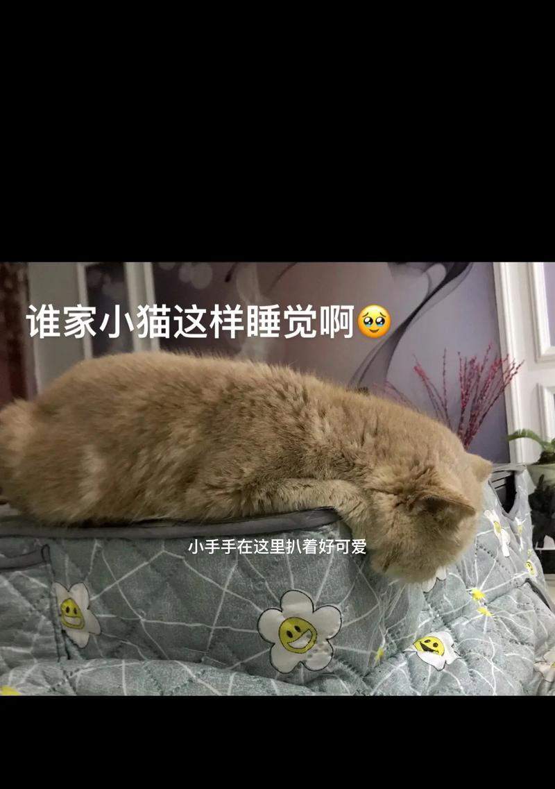 文章详情图片