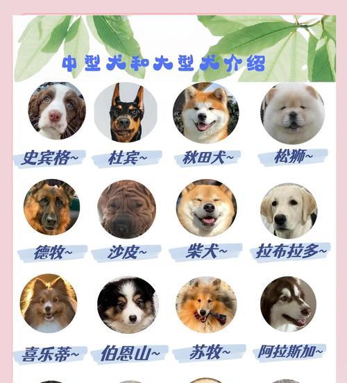 文章详情图片