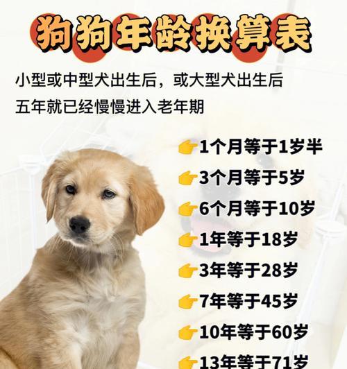 文章详情图片