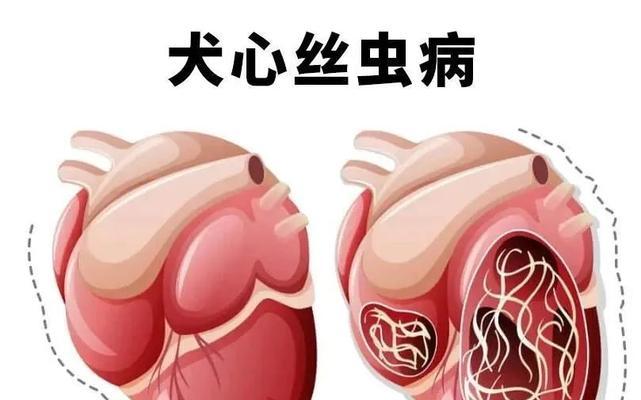 文章详情图片