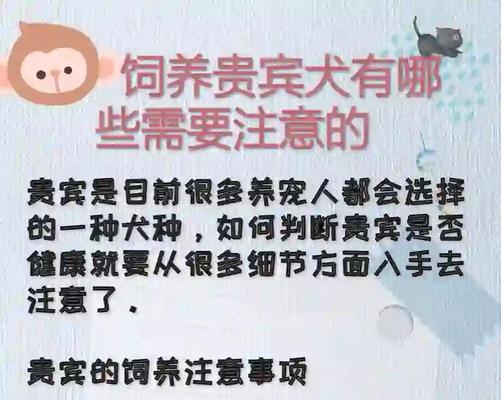 文章详情图片