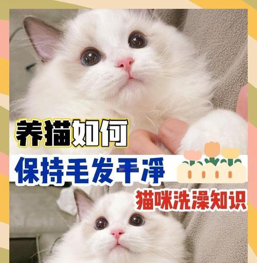 文章详情图片