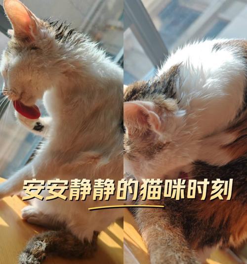 文章详情图片