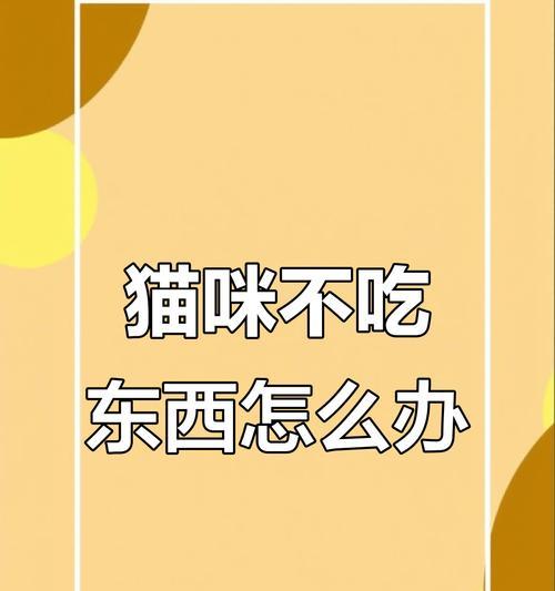 文章详情图片
