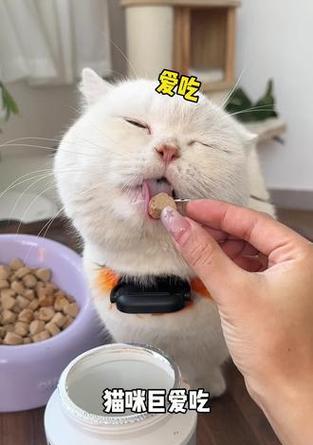 文章详情图片