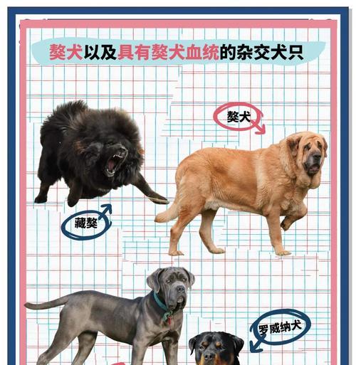 文章详情图片