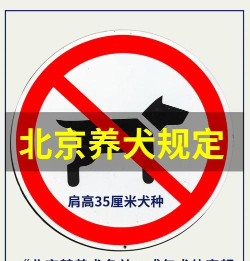 文章详情图片