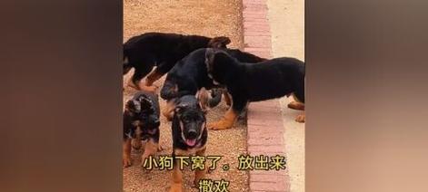 文章详情图片