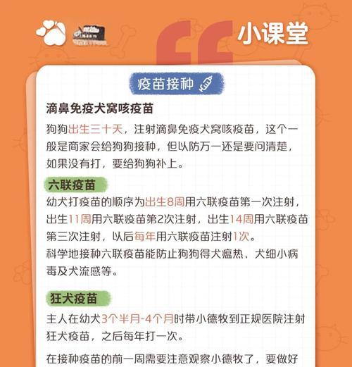文章详情图片