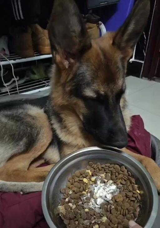 文章详情图片