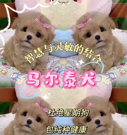 文章详情图片