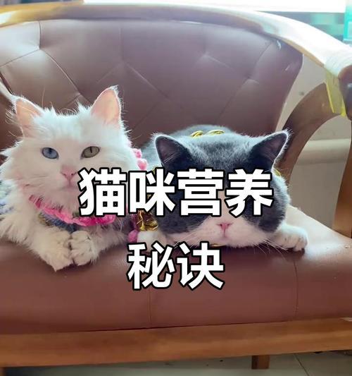 文章详情图片