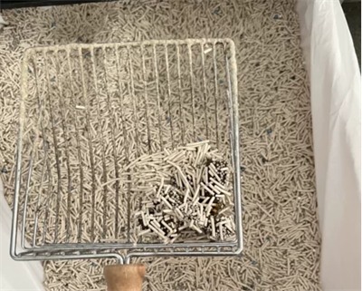 里兜6G混合猫砂怎么样