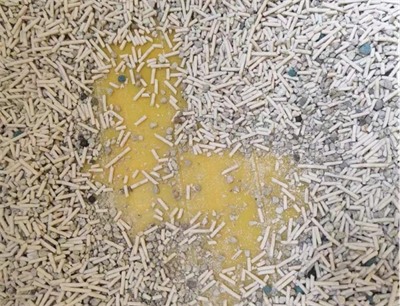 鸟语花香猫砂测评