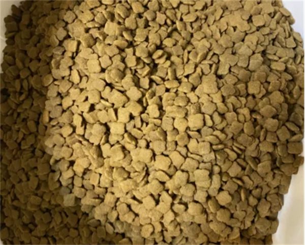 宠率狗粮怎么样