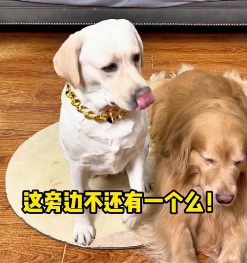 文章详情图片