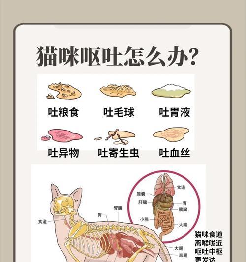 文章详情图片