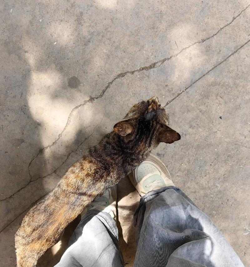 文章详情图片