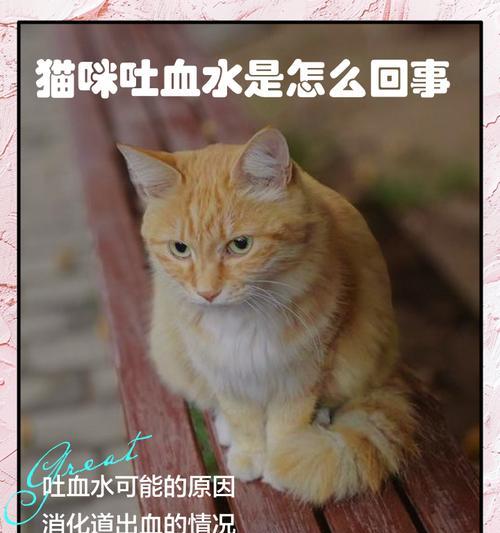 文章详情图片