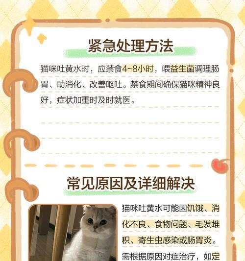 文章详情图片