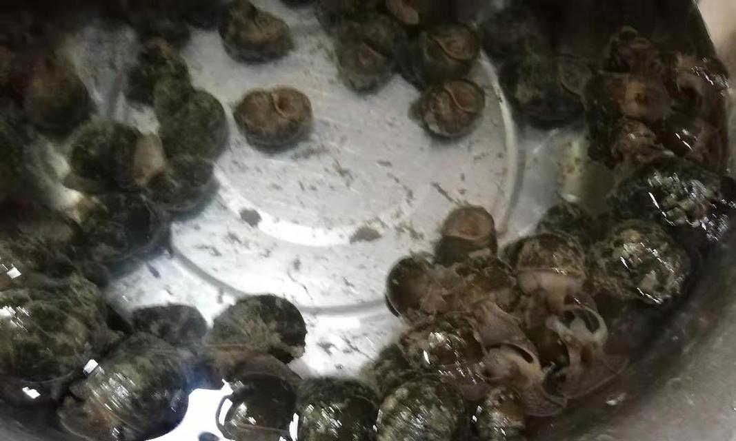文章详情图片