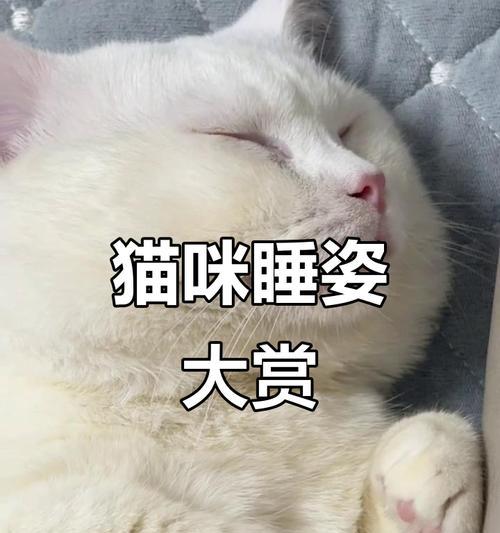文章详情图片