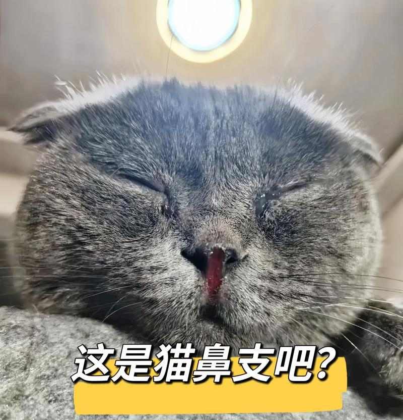 文章详情图片