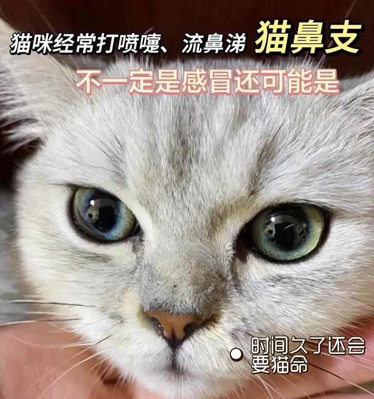 文章详情图片