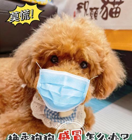 文章详情图片