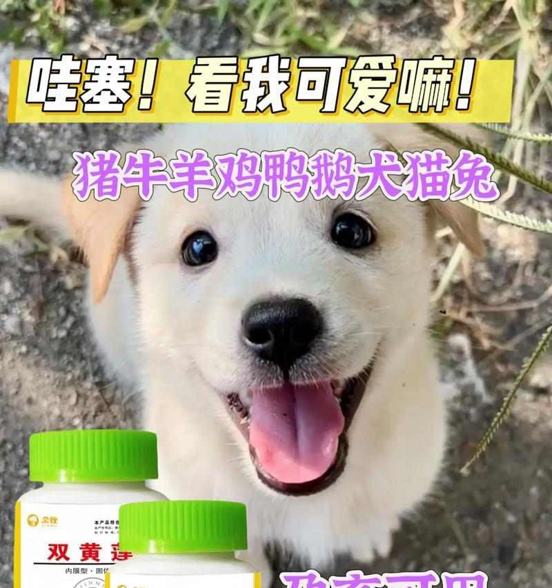 文章详情图片