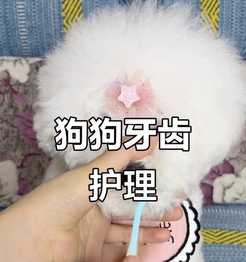 文章详情图片