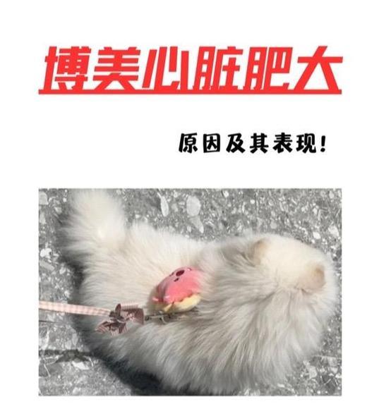 文章详情图片